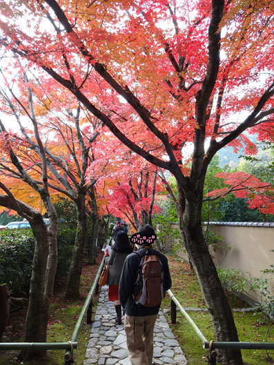 京都の紅葉123.jpg