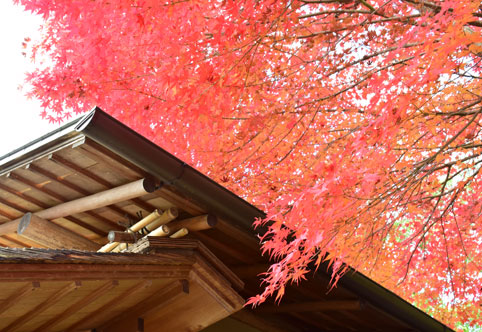 京都の紅葉126.jpg