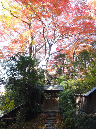 京都の紅葉132.jpg