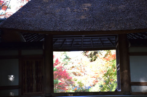 京都の紅葉135.jpg