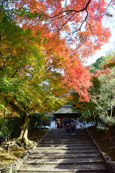 京都の紅葉139.jpg