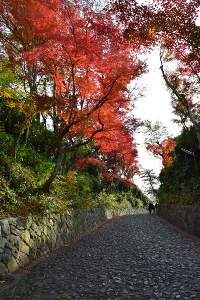 京都の紅葉142.jpg