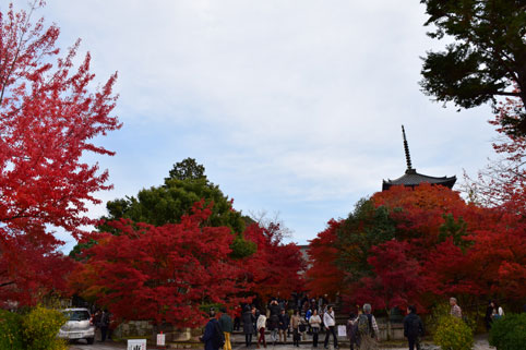 京都の紅葉152.jpg