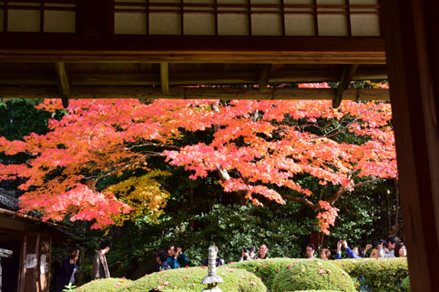 京都の紅葉70.jpg