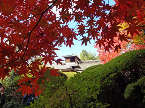 京都の紅葉74.jpg
