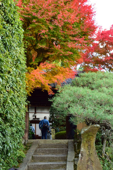 京都の紅葉80.jpg