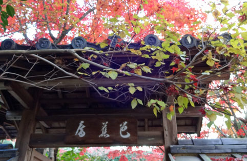 京都の紅葉83.jpg