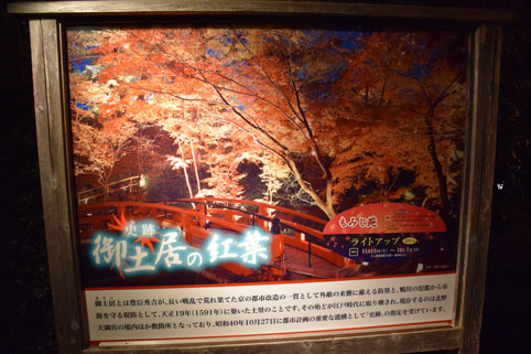 京都の紅葉96.jpg