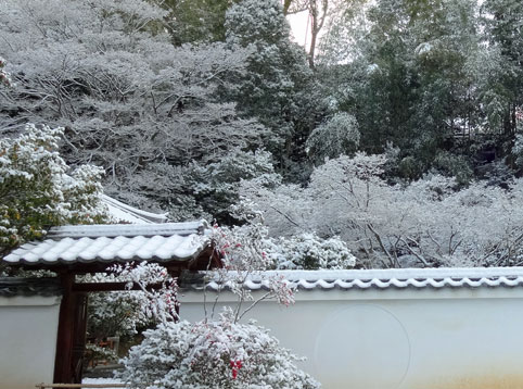 冬の京都44.jpg