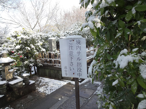 冬の京都46.jpg