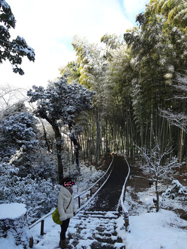 冬の京都55.jpg
